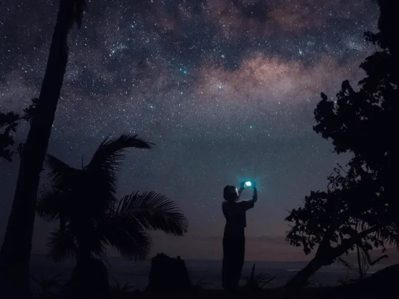 A person photographing the Milky Way between palm trees at night